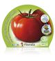 Pack Tomate Tres Cantos 12 Ud. Solanum lycopersicum - 02031080 (2)