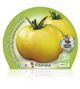Tomate Racimo Amarillo M-10,5 Solanum lycopersicum - 02025115 (2)