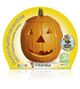 Calabaza Halloween M-10,5 Cucurbita maxima - 02025130 (2)
