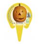 Calabaza Halloween M-10,5 Cucurbita maxima - 02025130 (3)