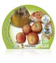 Pack Tomate Colgar 6 Ud. Solanum lycopersicum - 02031049 (2)