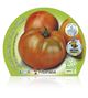 Pack Tomate Ensalada Híbrido 6 Ud. Solanum lycopersicum - 02031050 (2)
