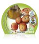 Pack Tomate Colgar 12 Ud. Solanum lycopersicum - 02031012 (2)