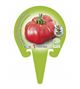 Tomate Omar Lebanese M-10,5 Solanum lycopersicum - 02025011 (3)