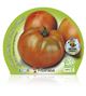 Tomate Ensalada Híbrido M-10,5 Solanum lycopersicum - 02025012 (2)