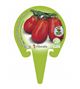 Tomate Pera Mata Alta M-10,5 Solanum lycopersicum - 02025016 (3)