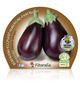 Berenjena Redonda Negra M-10,5 Solanum melongena - 02025033 (2)