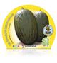 Melón Piel de Sapo M-10,5 Cucumis melo var. sacharinus - 02025039 (2)