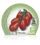 Tomate Cherry Pera M-10,5 Solanum lycopersicum - 02025006 (2)