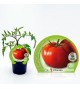 Tomate Tres Cantos M-10,5 Solanum lycopersicum - 02025098 (1)
