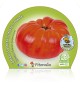 Tomate Brutus M-10,5 Solanum lycopersicum - 02025136 (1)
