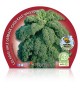 Col Kale M-10,5 Brassica acephala - 02025134 (1)
