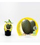 Melón Piel de Sapo M-10,5 Cucumis melo var. sacharinus - 02025039 (0)