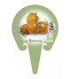Tomate Cherry Naranjito M-10,5 Solanum lycopersicum - 02025025 (1)