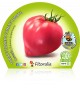 Tomate Corazón M-10,5 Solanum lycopersicum - 02025114 (1)