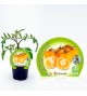 Tomate Racimo Amarillo M-10,5 Solanum lycopersicum - 02025115 (1)