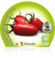 Tomate San Marzano M-10,5 Solanum lycopersicum