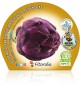 Pack Alcachofa Violeta de Romagna 6 Ud Cynara scolymus