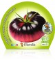 Tomate Azul M-10,5 Solanum lycopersicum