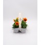Florapack Viola wittrockiana Orange Blotch 6 Ud.