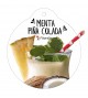 Menta Piña Colada M-14 Mentha suaevolens