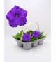 Florapack Petunia grandiflora Blue 6 Ud.