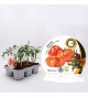 Pack Injertado Tomate Love Mix F1 6 Ud.