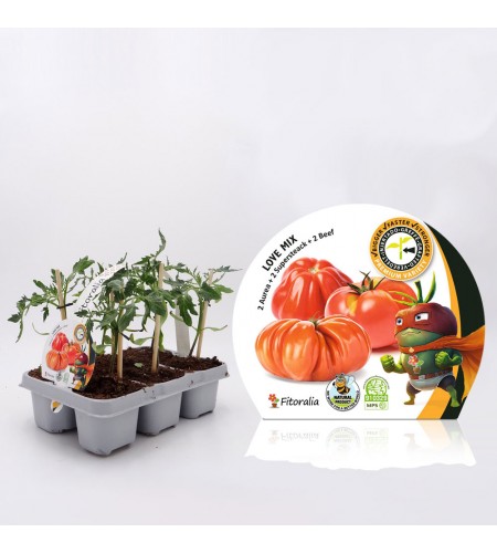 Pack Injertado Tomate Love Mix F1 6 Ud.