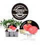 VIP Pack Tomate Rose Crush 6 Ud. Solanum lycopersicum