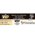 Cartel VIP. Gratis con la compra de 5 productos VIP. Cartel Colección VIP Horizontal