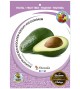 Aguacate - Persea americana - 03050003 (0)