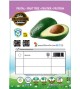 Aguacate - Persea americana - 03050003 (0)