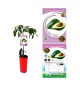Aguacate - Persea americana - 03050003 (0)
