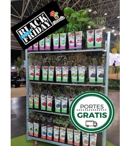 Carro de Vivaces y Frutos del Bosque. 24 Cajas. Black Friday