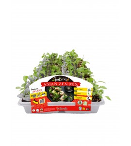 Leaf & Go - Asian Zen Mix