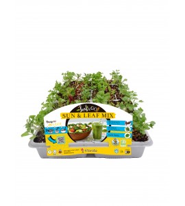 Leaf & Go - Sun & Leaf Mix