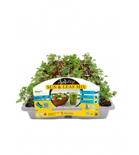 Leaf & Go - Sun & Leaf Mix