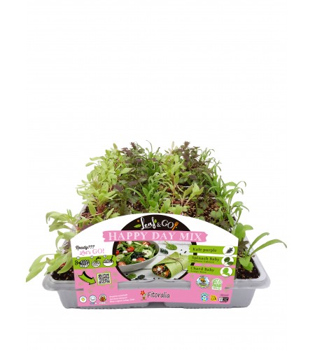 Leaf & Go - Happy Day Mix