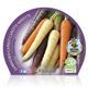 Zanahoria Colores M-10,5 Daucus carota - 02025099 (2)