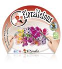 Pack Floralicius Mix I 6 Ud. L. maritima + A. majus + D. chinenis