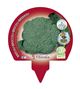Pack Brócoli 6 Ud. Brassica oleracea var. italica - 02031035 (3)