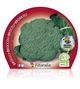 Brócoli M-10,5 Brassica oleracea var. italica - 02025050 (2)