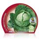 Col Redonda Lisa M-10,5 Brassica oleracea var. capitata - 02025100 (2)