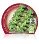 Col Bruselas M-10,5 Brassica oleracea var. gemmifera - 02025051 (2)