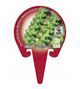 Col Bruselas M-10,5 Brassica oleracea var. gemmifera - 02025051 (3)