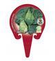 Col Corazón de Buey M-10,5 Brassica oleracea var. capitata - 02025052 (3)
