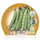 Pack Haba 6 Ud. Vicia faba - 02031010 (2)