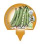 Pack Haba 6 Ud. Vicia faba - 02031010 (3)