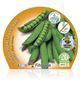 Pack Guisante Mata Baja 6 Ud. Pisum sativum - 02031011 (2)