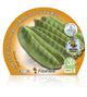 Pack Tirabeques 6 Ud. Pisum sativum - 02031089 (2)